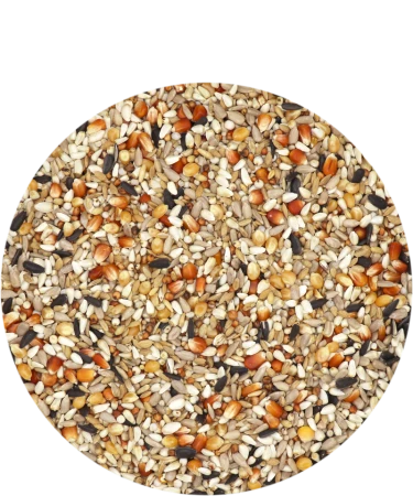 VERSELE LAGA Hirn Mixture Faza 3 20kg