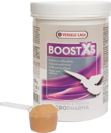 OROPHARMA - VERSELE LAGA - BOOST X5 -  500g BCAA wytrzymałość siła energia