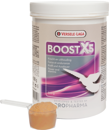 Przejdź do produktu VERSELE LAGA Boost X5 500 g - wytrzymałość na lotach gołębi