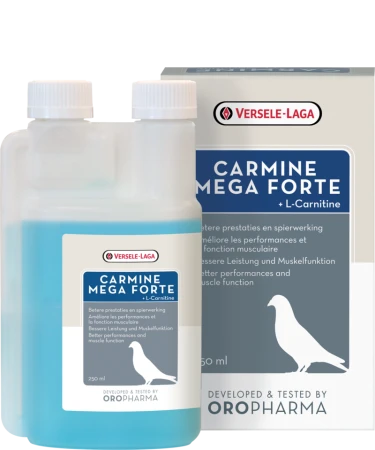OROPHARMA - VERSELE LAGA -  Carmine Mega Forte 250ml - L-Karnityna wydolność, wytrzymałość