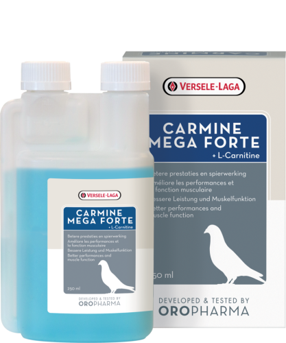 Przejdź do produktu VERSELE LAGA  Carmine Mega Forte 250 ml - L-karnityna dla gołębi