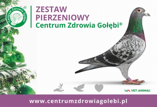 Przejdź do produktu CENTRUM ZDROWIA GOŁĘBI  - Zestaw pierzeniowy dla gołębi, pakiet 11 produktów + 1 GRATIS