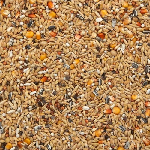 Przejdź do produktu VANROBAEYS Nr 16 Mieszanka Spoczynkowa 20 kg - karma zimowa dla gołębi 