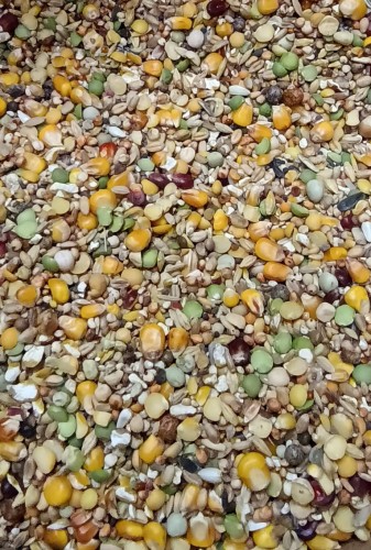 Przejdź do produktu MDM O-MIX 25 kg - karma uniwersalna dla gołębi