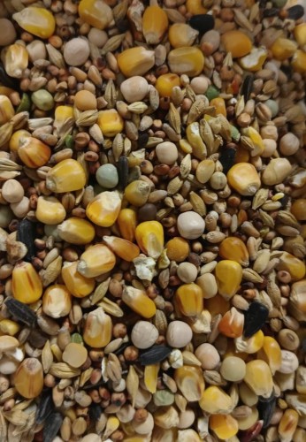 Przejdź do produktu ELPOL S Standard 25 kg - uniwersalna karma dla gołębi