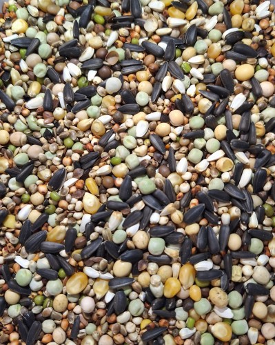 Przejdź do produktu ELPOL Morel Team MR-RP 20 kg - karma dla gołębi rozpłodowo-pierzeniowa 