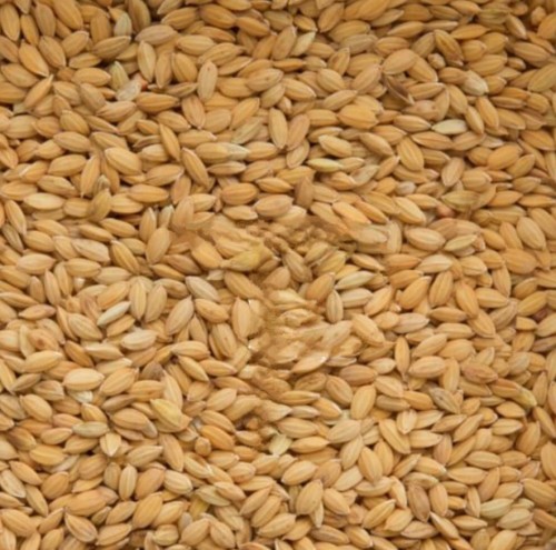 Przejdź do produktu BEYERS Ryż Paddy 20 kg