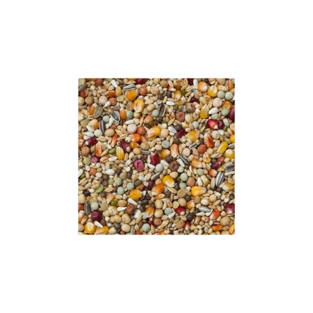 beyers-galaxy-moulting-20kg-pierzeniowa.jpg