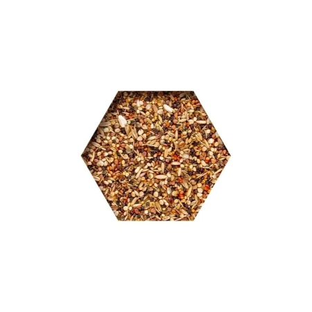 beyers-moulting-support-2kg6-miesz-dzikich-i-oleistych-nasion.jpg