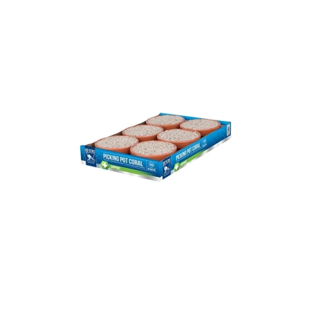 beyers-picking-pot-51-kamien-w-misce-czerwony (1).jpg