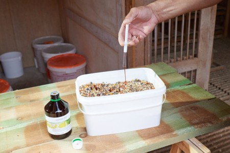 COMBI-VET--1024x683.jpg