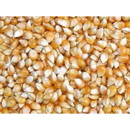 Przejdź do produktu MDM Kukurydza  popcorn 25 kg
