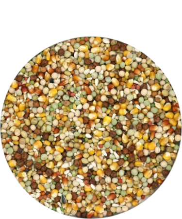 start_karma.png
