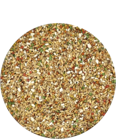depur.png