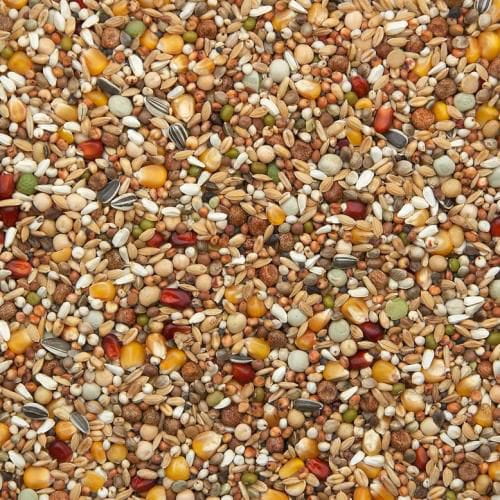 Przejdź do produktu VANROBAEYS  Nr 38 Ekskluzywna mieszanka rozpłodowa 20 kg - karma rozpłodowa dla gołębi