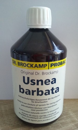 Przejdź do produktu DR BROCKAMP Usnea barbata 500 ml - wyciąg z brodaczki dla gołębi