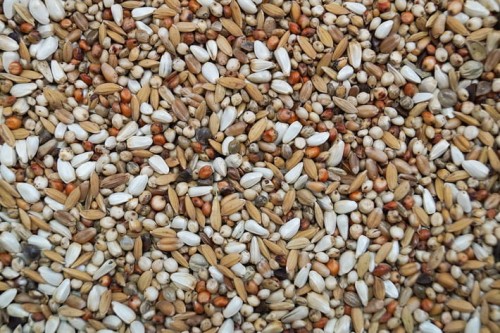 Przejdź do produktu GOLD WINGS SD 20 kg - super dieta, karma dla gołębi