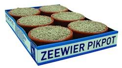 Przejdź do produktu BEYERS Picking pot coral 5+1 - kamień biały z muszlami do dziobania w miseczkach