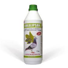 PATRON - Eukalipsan 1000ml - zdrowe drogi oddechowe