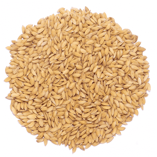 Przejdź do produktu GOLD WINGS Ryż paddy 1 kg