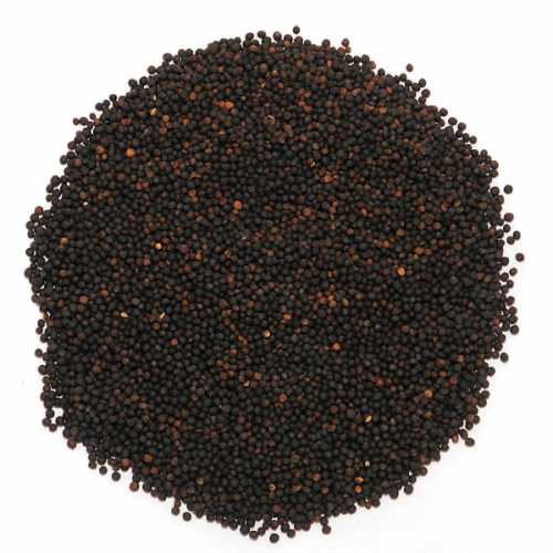 Przejdź do produktu MDM Rzepak 1 kg