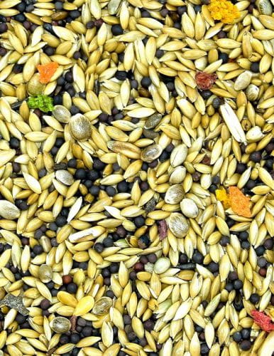 Przejdź do produktu MDM KE Kanarek Exlusive Vita Organic 1 kg - karma dla kanarków