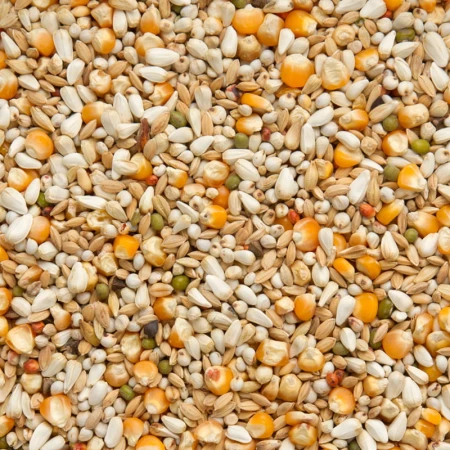 BEYERS Premium Vandenabeele, 20 kg - karma lotowa lekkostrawna