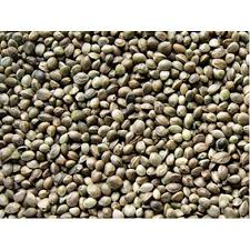 Przejdź do produktu BEYERS Konopie 1 kg