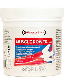 Przejdź do produktu VERSELE LAGA Muscle Power Caps 150 szt. - odbudowa i regeneracja mięśni gołębi