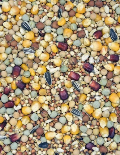 Przejdź do produktu MDM RLS Standard 25 kg - karma rozpłodowa dla gołębi bez pszenicy