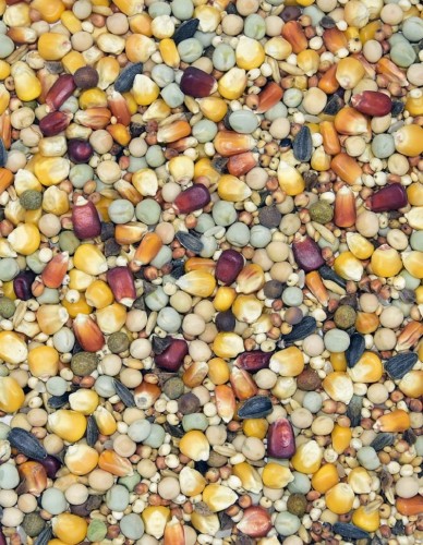 Przejdź do produktu MDM BP 25 kg - karma dla gołębi bez pszenicy