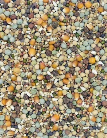 MDM - RO – ROZPŁODOWA OPTIMA 25kg