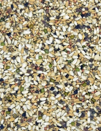MDM - DS – DIETA SPECJAL 25kg ( Super Dieta )