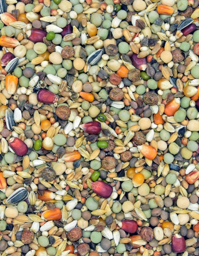 Przejdź do produktu MDM RW Rozpłodowa Wysokobiałkowa 25 kg - karma rozpłodowa dla gołębi z dużą  ilością białka