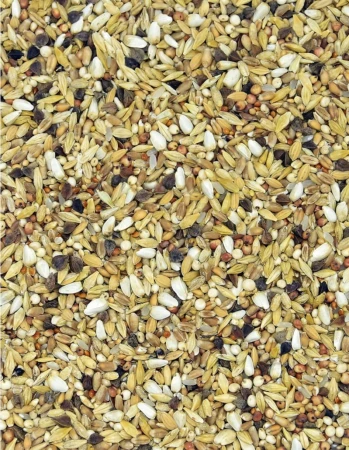 MDM - D – DIETA SUPER SPOCZYNKOWA 25kg