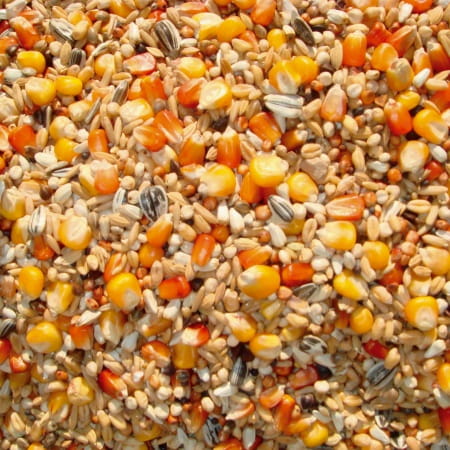 VANROBAEYS  - Nr 29 Wyścigowa Bez Grochu 20kg karma lotowa, lekkostrawna