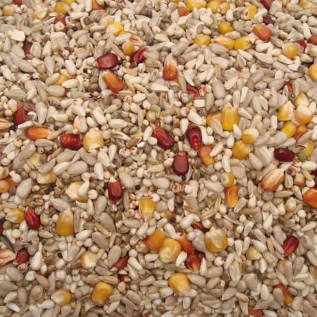 Przejdź do produktu VANROBAEYS Nr 35 Top Energy 20 kg - karma energetyczna dla gołębi