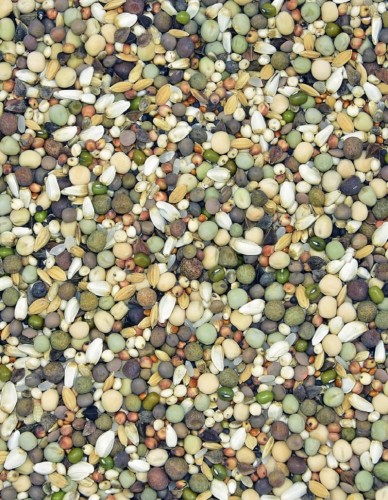 Przejdź do produktu MDM JM  Młody Mistrz 25 kg - karma odchowowa dla młodych gołębi