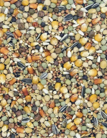 MDM -   PE - PIERZENIOWA EXTRA PROTEIN 25kg