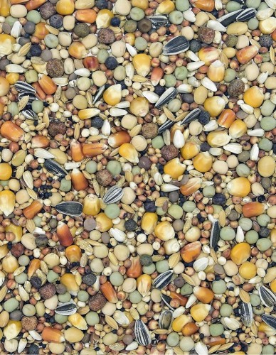 Przejdź do produktu MDM PE Extra Protein 25 kg - karma pierzeniowa dla gołębi z dużą zawartością białka