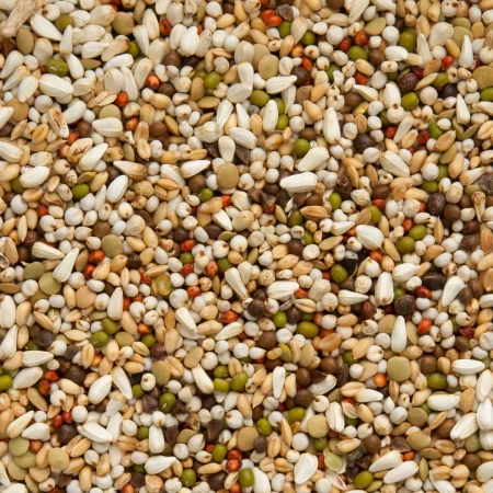 BEYERS -  WAL ZOONTJENS - Dieta  proteinowa  25kg