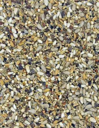 MDM - NO – NASIONA OLEISTE 1kg