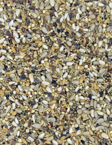 Przejdź do produktu MDM NO Nasiona Oleiste 1 kg - mieszanka nasion oleistych dla gołębi