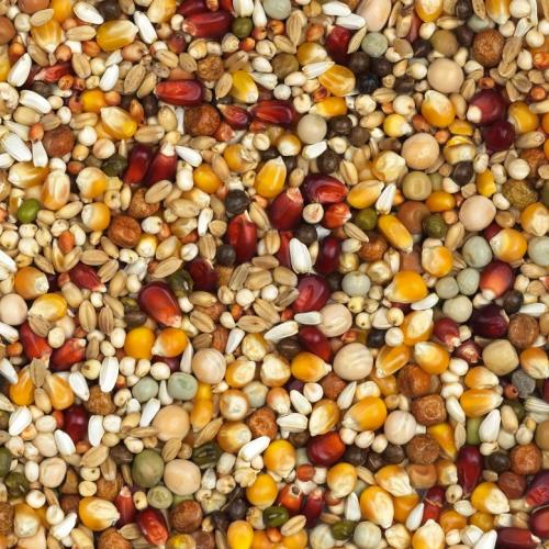 Przejdź do produktu VANROBAEYS Nr 8 Super lotowa mieszanka Bordeaux 20 kg - karma na loty dla gołębi