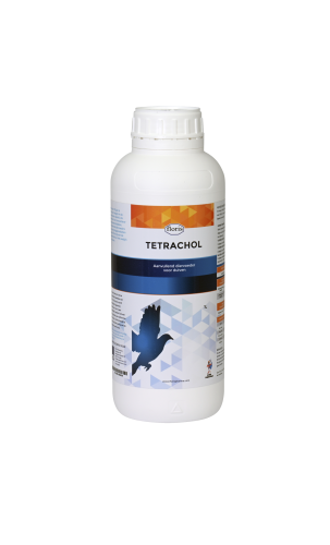 Przejdź do produktu FLORIS Florochol -Tetrachol 1000 ml - regeneracja wątroby i nerek gołębi