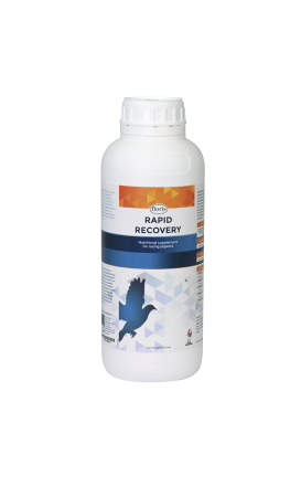 FLORIS -  Rapid Recovery 1000ml