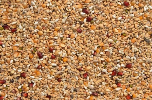 Przejdź do produktu VANROBAEYS Nr 56 Lady Mix 20 kg - specjalistyczna karma dla wdów