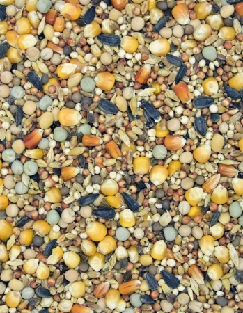 MDM - P – PIERZENIOWA 25kg