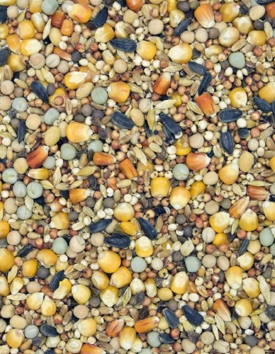 Przejdź do produktu MDM P Pierzenie 25 kg - karma pierzeniowa dla gołębi
