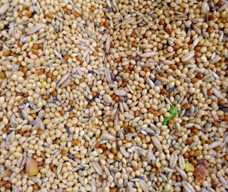 MDM - PF - AUSTRALIAN TASTE VITA-ORGANIC - MIESZANKA DLA PAPUG FALITYCH 10KG PAPUGA